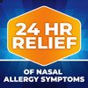 Nasacort 24HR Allergy Nasal Spray, Non-drowsy, 60 Sprays, 0.37 fl. oz.