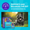 NaturVet Evolutions Probiotic + Superfoods Digestive Powder 30 Sachets Dogs