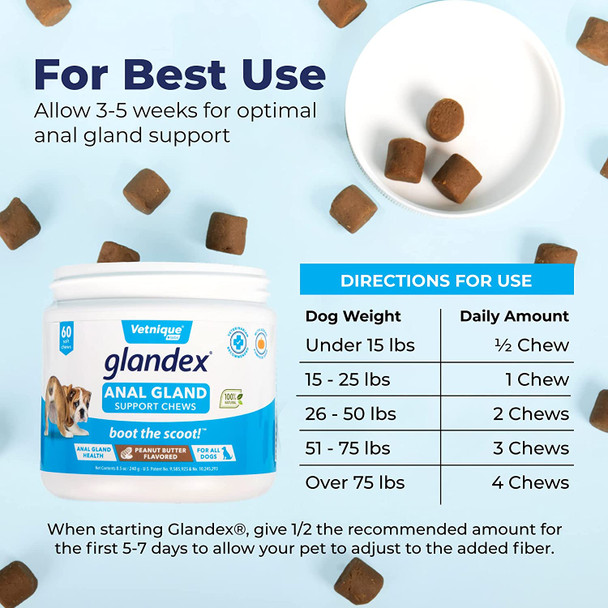 Glandex Anal Gland Soft Chew Treats with Pumpkin for Dogs 60ct Chews with Digestive Enzymes, Probiotics Fiber Supplement for Dogs - Vet Recommended - Boot the Scoot Peanut Butter