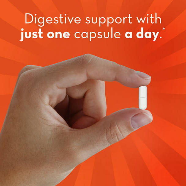 Align Probiotics, Probiotics for Women and Men, Daily Probiotic Supplement for Digestive Health, 42 Capsules