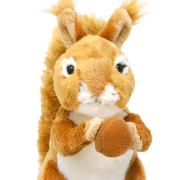 Carter The Squirrel | 8 Inch Stuffed Animal Plush