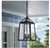 Home Decorators Collection Blakeley 2-Light Black Outdoor Pendant Light