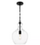 HDC Bakerston 60-Watt 1-Light Matte Black Hanging Pendant with Clear Glass Shade