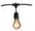 Bulbrite Outdoor/Indoor 48 ft. Plug-in A19 Incandescent Black String Light