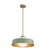 Rennnsan Winnie 1-Light Green Mid-Century Modern Pendant Light Opal Glass Shade