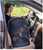 Pet Gear View 360 Dog Cat Pet Carrier Car Seat in One Size Small Black