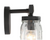 Farmhouse 13 in 2-Light Dark Gray Vanity Light with Clear Glass Mason Jar Shades