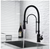 waterpar Single Handle 21" Kitchen Faucet w/ Dual Function in Matte Black JK0171