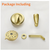 Single Handle 2-Spray Tub and Shower Faucet with Valve in Brushed Gold 88049BG