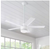 HDC Merwry 48 in Integrated LED Indoor White Ceiling Fan with Light Kit & Remote