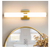 KAISITE 23 in. 1-Light Gold LED Vanity Light Bar, Dimmable Bathroom Light