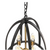 4-Light Black Rustic Lantern Pendant Chandelier w/Chain Open Frame Hanging Light