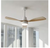 MODERN HABITAT 48 in. Integrated LED 6-Speed Indoor Ceiling Fan with Remote
