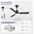 Breezary Hector II 42 in. Indoor Black Color-Changing LED Ceiling Fans (2-Pack)