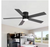 Breezary Hector II 52 in Indoor/Outdoor Black Flush Ceiling Fan w/Remote & Light