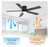 Breezary Hector II 52 in Indoor/Outdoor Black Flush Ceiling Fan w/Remote & Light
