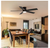 Breezary Hector II 52 in Indoor/Outdoor Black Flush Ceiling Fan w/Remote & Light