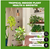 NorbTROPIC 9W A19 Forest-Filtered Green Tropical Plant Grow Light Bulb (1-Pack)