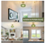 Rottogoon Adjustable Gold Semi Flush Mount Ceiling Light with Green Glass Shade