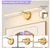 24 in. 90° Rotation 5CCT Gold LED Vanity Light Bar with Frosted Acrylic Shade