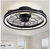 WDETR 19 in. Indoor Black Caged Modern Ceiling Fan with Integrated LED Light