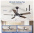 Depuley 42" 5-Blade Black & Walnut Indoor/Outdoor Fan with Light & Remote