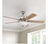 Hampton Bay Rothley II 52" Indoor LED Brushed Nickel Ceiling Fan with Light Kit