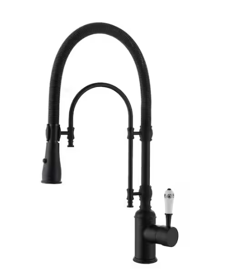 waterpar Single Handle 21" Kitchen Faucet w/ Dual Function in Matte Black JK0171