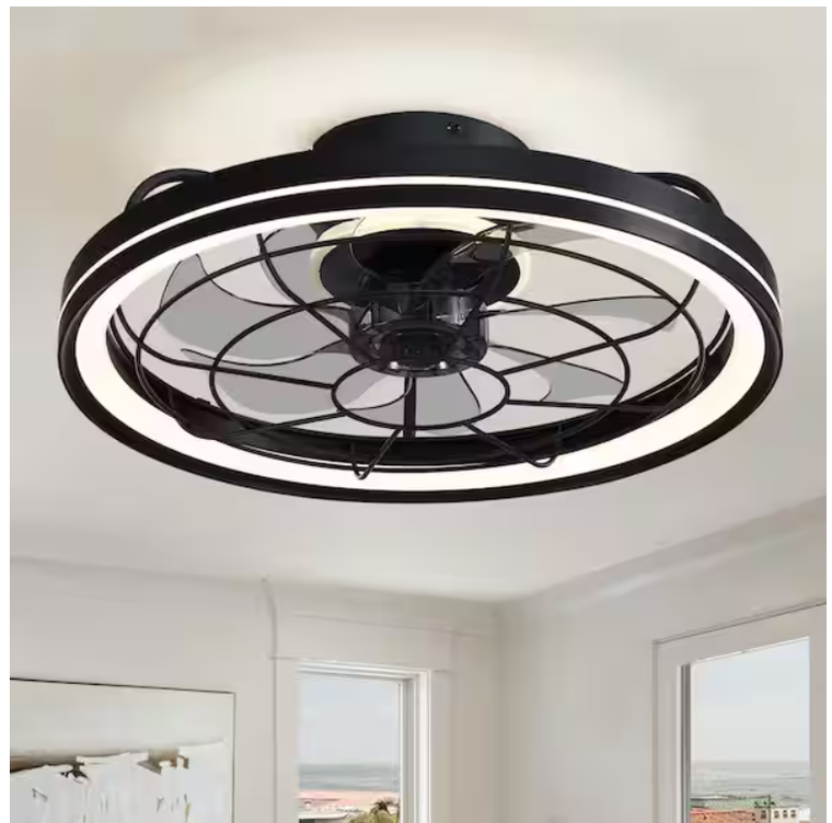 WDETR 19 in. Indoor Black Caged Modern Ceiling Fan with Integrated LED Light