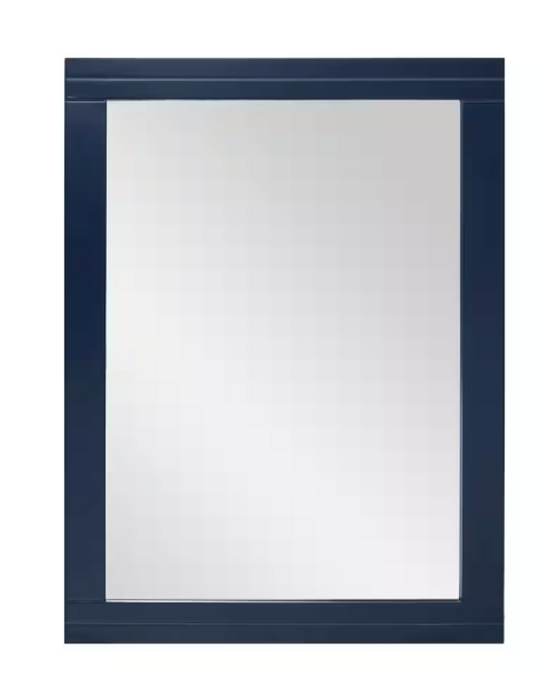 Home Decorators Sturgess 24 in W x 32 in H Rectangular Medicine Cabinet w/Mirror