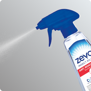 Zevo Multi-Insect Killer Spray Being Sprayed