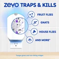Zevo traps & kills mosquitoes, fruit flies, gnats, house flies, fungus gnats and non-biting midges.