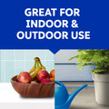 Zevo spray is great for indoor and outdoor use.