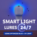 Zevo smart light lures 24/7 using optimized blue + UV light.
