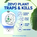 Zevo traps & kills fungus gnats, fruit flies, house flies, gnats, and non-biting midges.