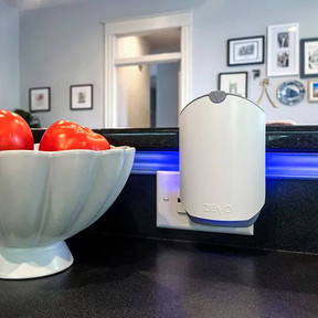 Read article at The Spruce 'How This $20 Fly Trap Transformed My Bug-Free Kitchen'