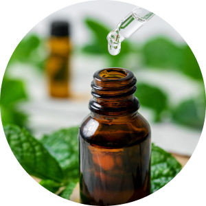 Cornmint Essential Oil