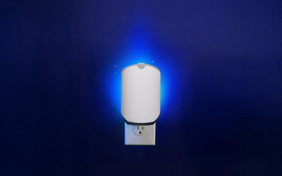 FRUIT FLY TRAPS: VINEGAR VS BLUE+UV LIGHT. WHAT WORKS?