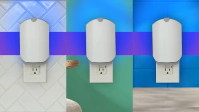 Where to Place Zevo Traps for Best Results
