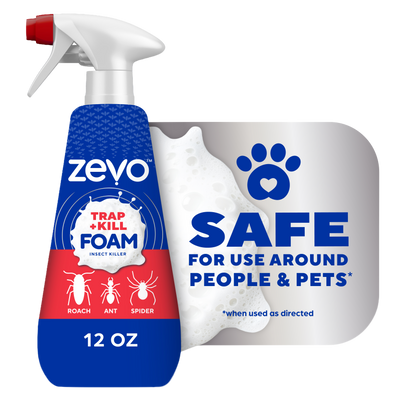 Zevo Trap & Kill Foam Insect Killer for Roaches & Spiders 12oz