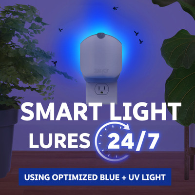 Zevo smart light lures 24/7 using optimized blue + UV light.