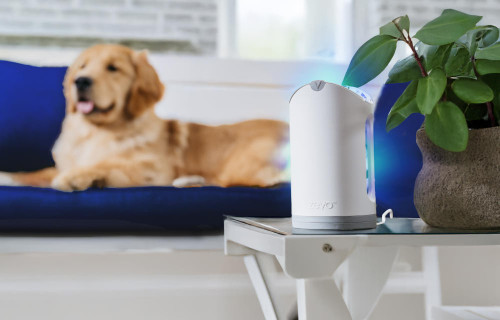 Zevo Max Flying Insect Trap