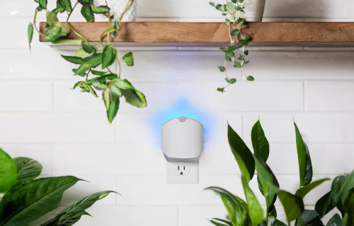 Zevo Plant Flying Insect Trap