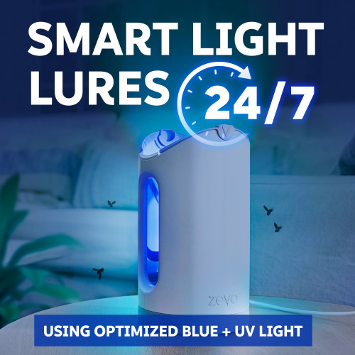 Zevo smart light lures 24/7 using optimized blue + UV light.