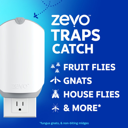 Zevo traps catch fruit flies, gnats, house flies, and more