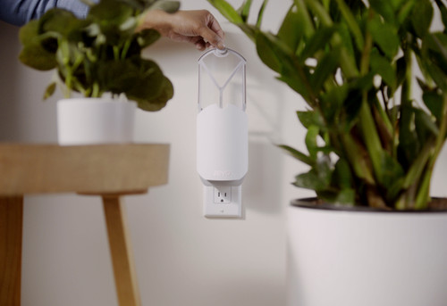 How to Get Rid of Fruit Flies in Your Kitchen (Without Losing Your Mind)