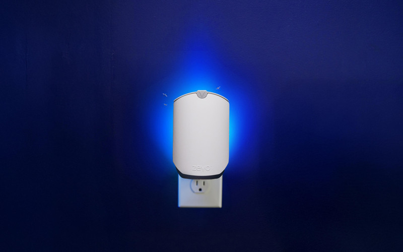 FRUIT FLY TRAPS: VINEGAR VS BLUE+UV LIGHT. WHAT WORKS?