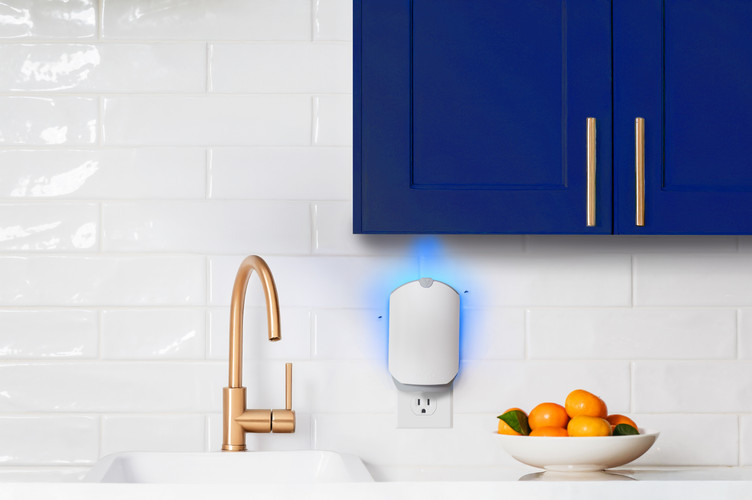 What's the best way to help get rid of Gnats? Flies? Ants? Roaches? Mosquitoes?