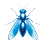 Fungus Fly