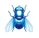 House Fly